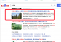 白皮松同一客戶3個獨立站站群全國首頁2個